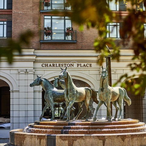 The ideal way and place to experience Charleston