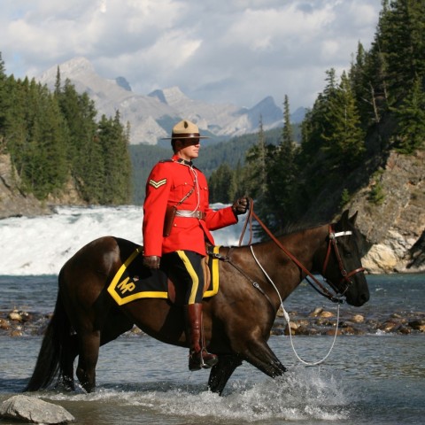 Especially worth noting